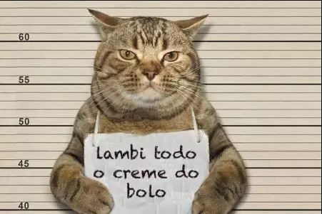 38 Fotos Engracadas De Pessoas E Animais Com Memes E Frases 21