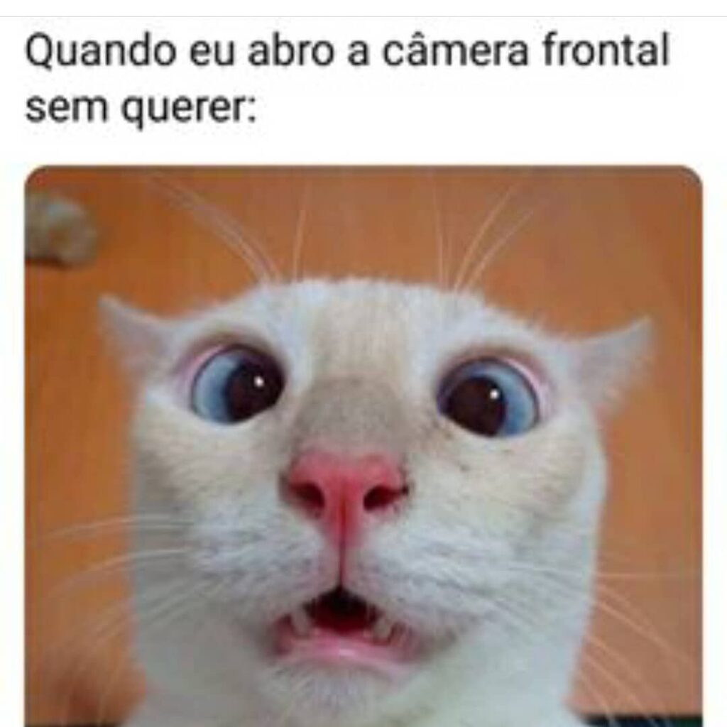 50 Imagens Com Memes Engraçados Para Whatsapp ( Copilado Top )