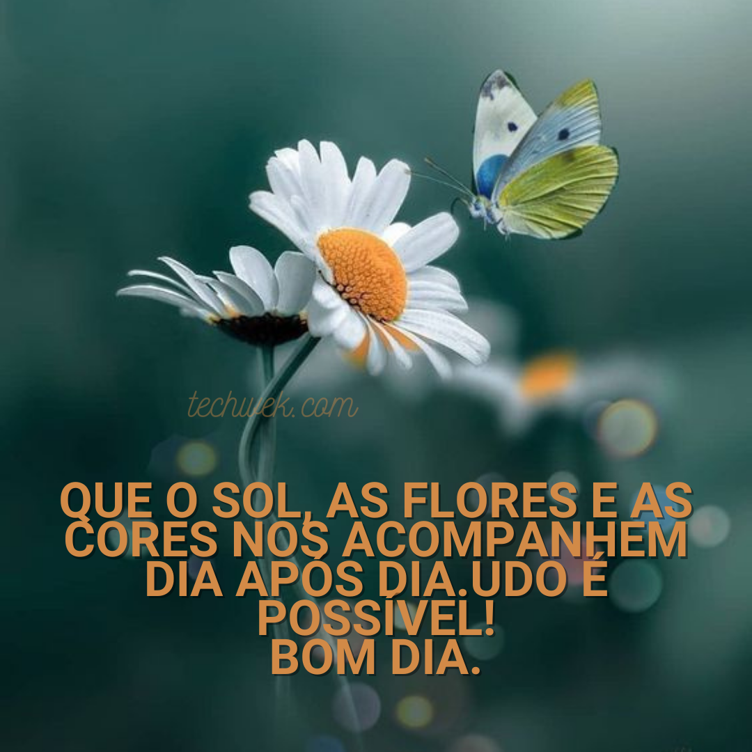 32 Mensagens De Bom Dia Com Flores Para Um Amanhecer Mais Lindo