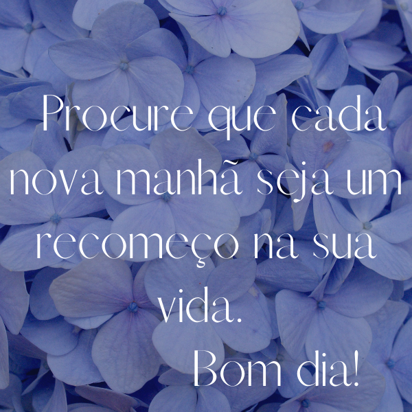 35 Frases De Bom Dia Para Status Com Belas Imagens Tumblr