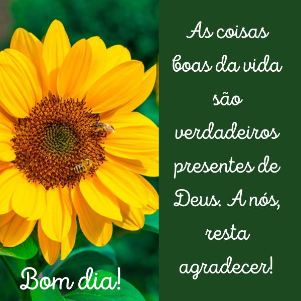 35 Frases De Bom Dia Para Status Com Belas Imagens Tumblr