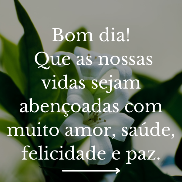 35 Frases De Bom Dia Para Status Com Belas Imagens Tumblr