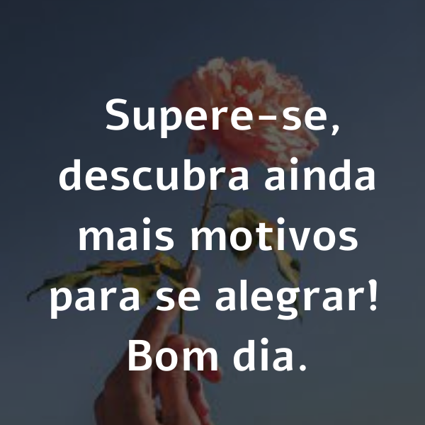 35 Frases De Bom Dia Para Status Com Belas Imagens Tumblr