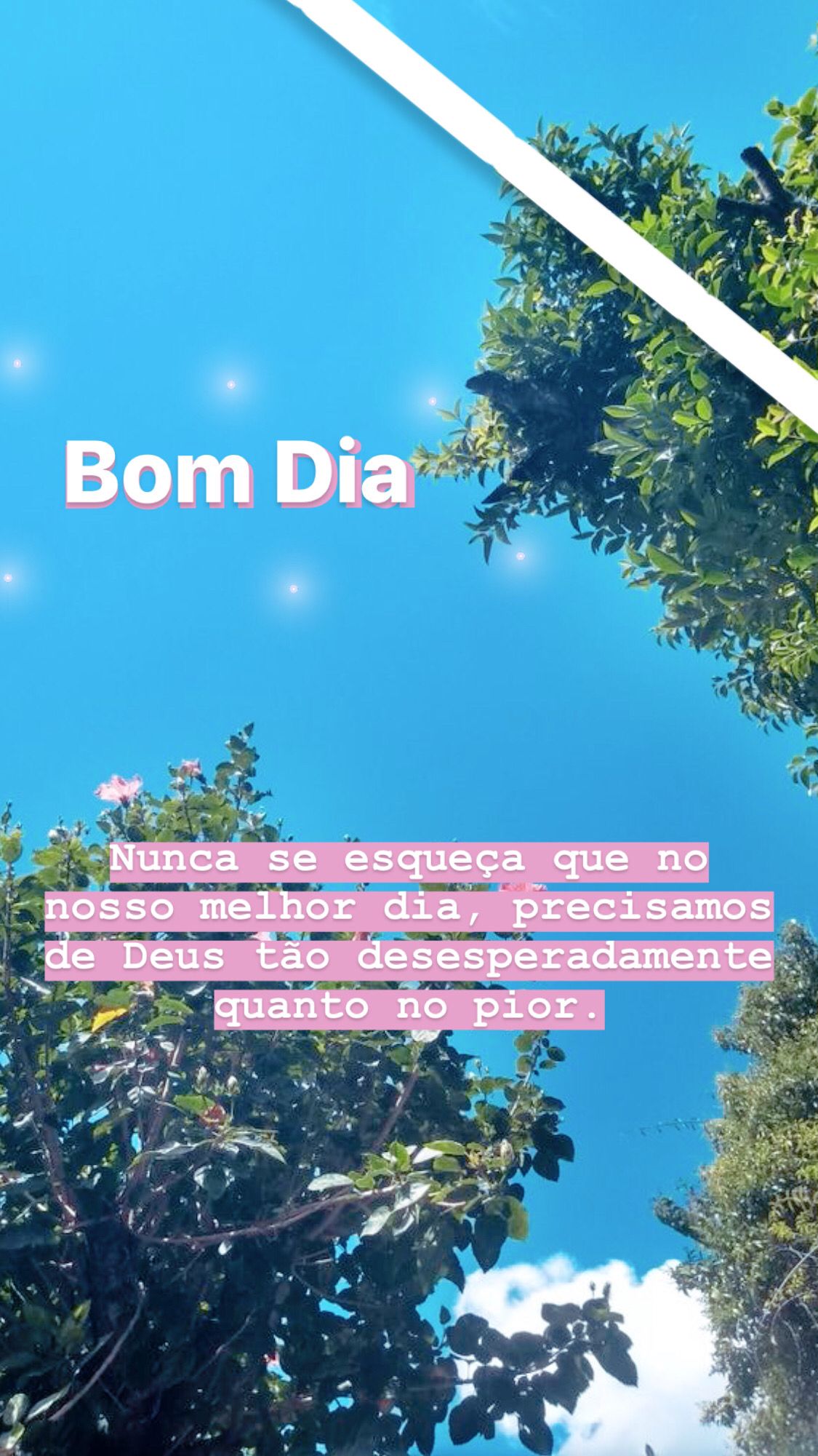 43 Frases De Bom Dia Tumblr Com Alegria E Positividade Para O Seu Dia